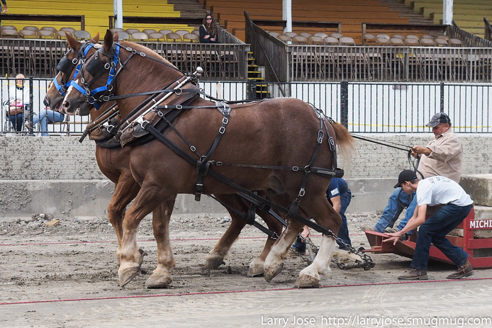 The Most Popular Fair on Earth Since 1851! | Hillsdale County Fair