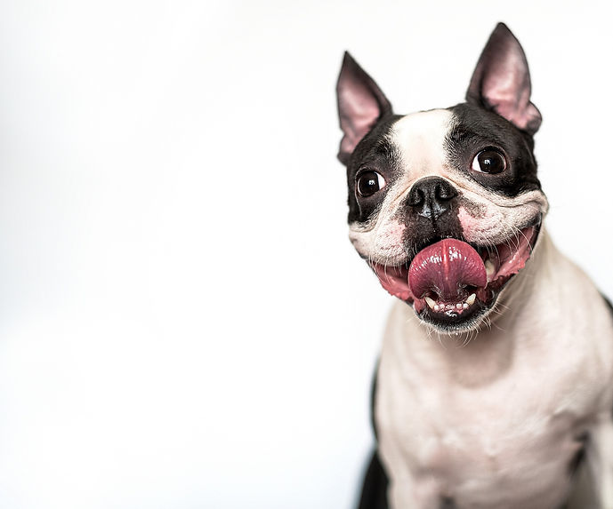 shutterstock_1728403915_edited_edited_edited_edited.jpg