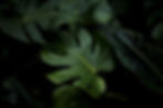 design%20industry%2C%20I%20also%20wanted%20to%20get%20my%20own%20one_edited.jpg
