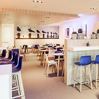 Brasseries Duinengordel - De Meeuw