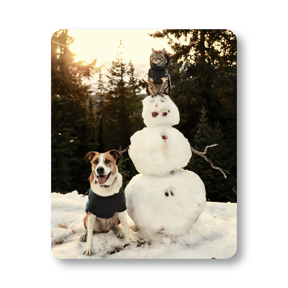 Limited Edition Holiday Frosty Sticker