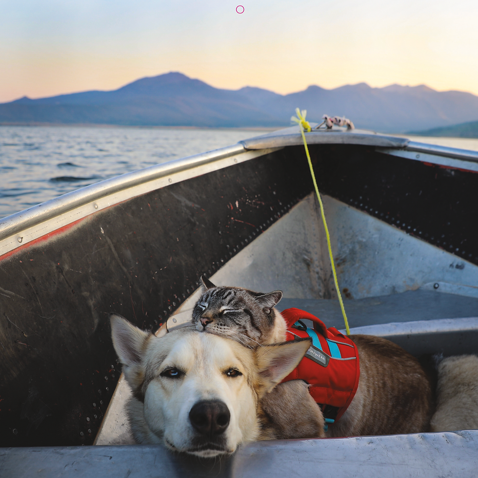 Thumbnail: 2026 Wild Tails Calendar