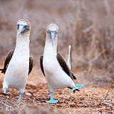 AdobeStock_52476327-768x512.jpeg