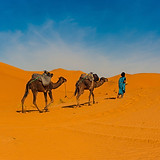 AdobeStock_231481978-768x510.jpeg