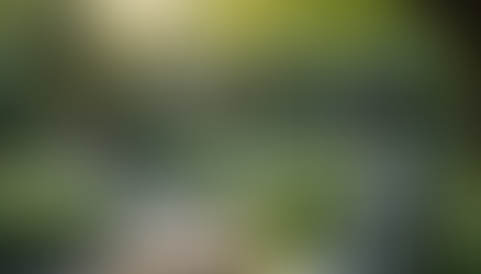 Unlocking Mindfulness | ©Mr Daniel M. Fisher | Transformative Wisdom from Buddha's Quotes for Daily Living.