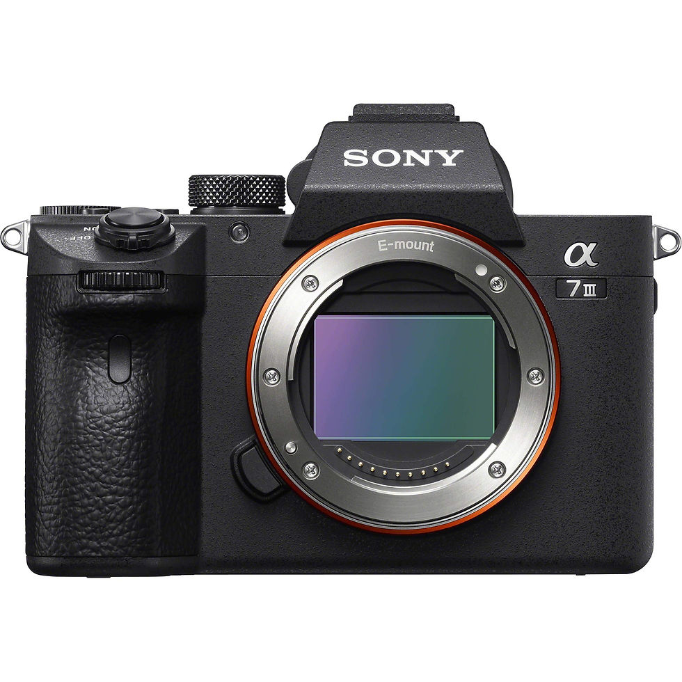 Thumbnail: Sony A7iii - Body