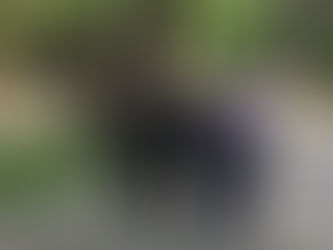 Pedro Sánchez y Xi Jinping