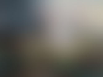 Los Estados Unidos: una nación “elegida” del mito fundacional del Destino Manifiesto al excepcionalismo contemporáneo