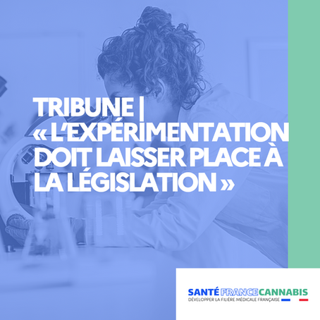Tribune (patients) : "L’expérimentation doit laisser place à la législation"