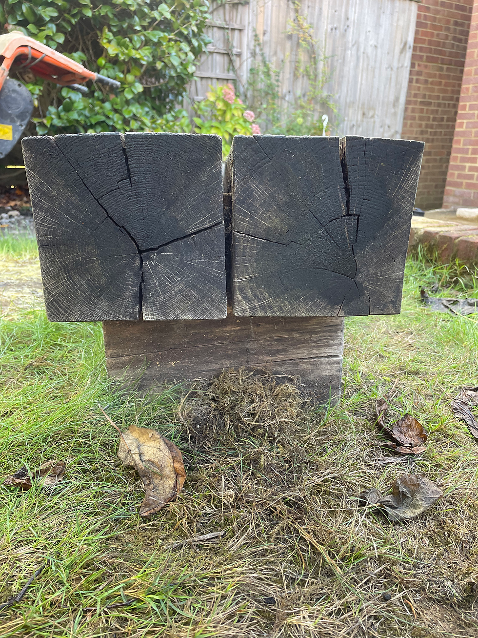 Thumbnail: Solid Wooden Bench