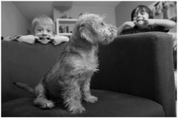 POR_IMG_0234