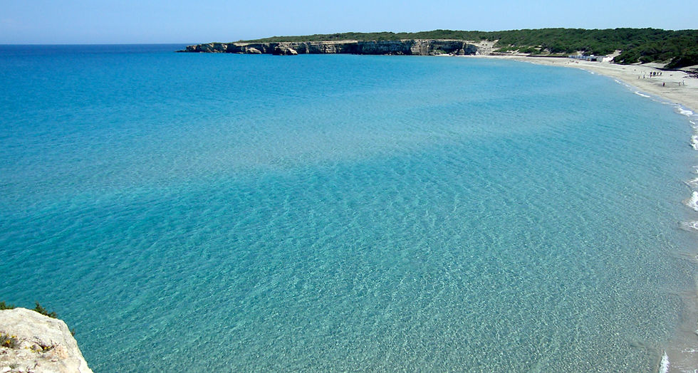 Salento_str249_openvillage_8.jpg