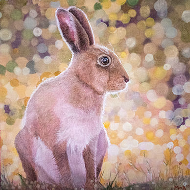 ballyclare hare copy.jpg