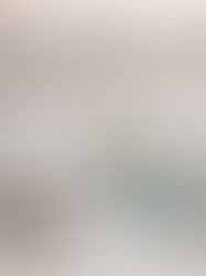 Christmas Bakery Mini Sessions | Allie Duarte Photography