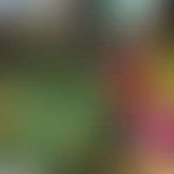 MICHAEL JACKSON’S NEVERLAND RANCH SELLS FOR $22 MILLION!