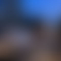 INTERIOR DESIGNERS BEHIND WOOD WHARF'S FIRST RESIDENTIAL DEVELOPMENT REVEAL 2020 DESIGN PREDICTIONS