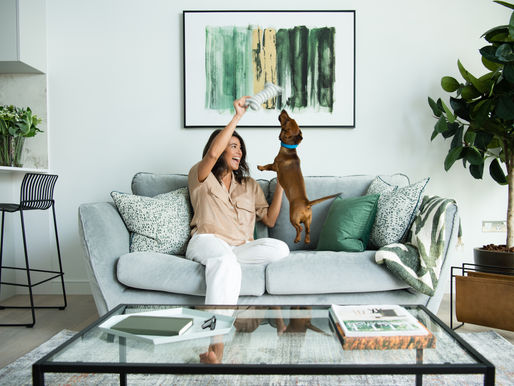 8 Water Street: Vertus’ 5-Star Pet-Friendly Residence Opens