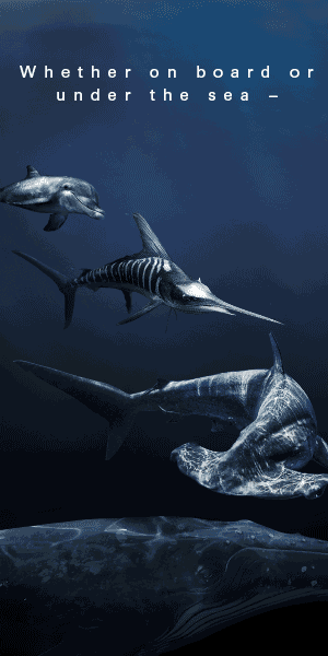 7253672182553442726.gif