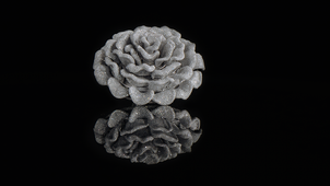 SWA DIAMONDS WINS GUINNESS WORLD RECORD FOR THE 'MOST DIAMONDS' SET IN ONE RING
