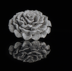 SWA DIAMONDS WINS GUINNESS WORLD RECORD FOR THE 'MOST DIAMONDS' SET IN ONE RING