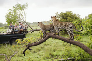 THE PEOPLE'S GAME RESERVE