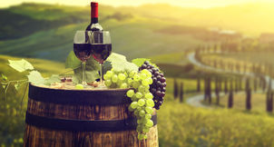 TUSCANY: A TIMELESS ESCAPE INTO WINE, ART AND ELEGANCE