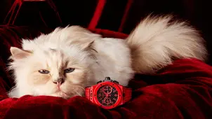 Hublot Big Bang - Choupette