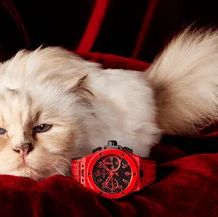 Hublot Big Bang - Choupette
