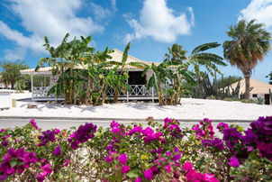 DISCOVER THE LUXURY AND BEAUTY OF PAPAGAYO BEACH RESORT CURAÇAO - THE ULTIMATE HOLIDAY DESTINATION