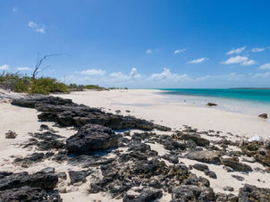 OWN YOUR OWN BAHAMIAN PARADISE 