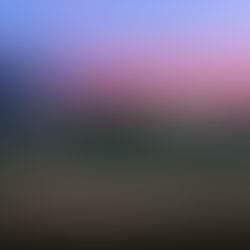 UNCOVER THE WORLD'S RAREST AUTOMOTIVE GEMS: A SNEAK PEEK AT RM SOTHEBY'S DUBAI AUCTION