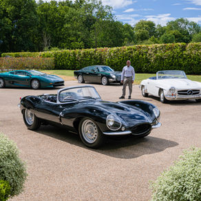 LEWIS HAMILTON'S DAD TO SELL IMPRESSIVE CAR COLLECTION AT AUCTION