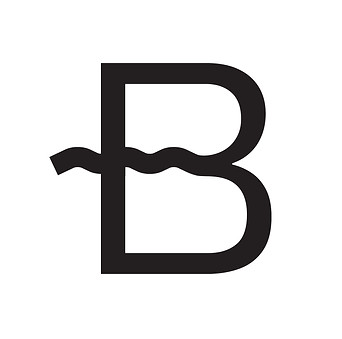 brandys_logo-01.jpg