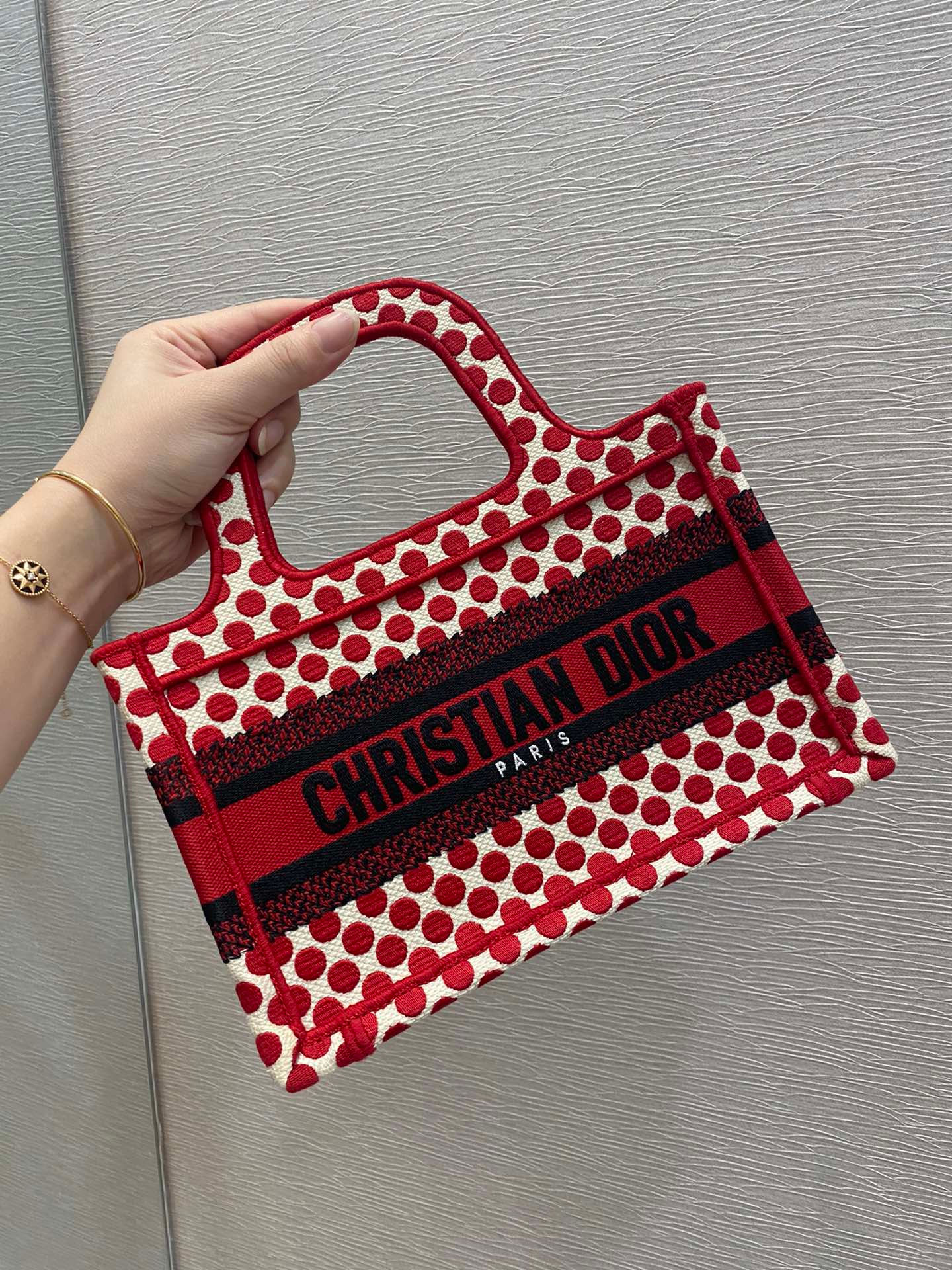 디올 북 토트백 미니