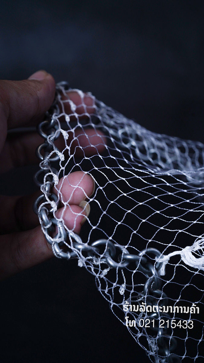 Thumbnail: Net