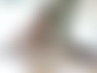 Spotting signs of umbrella company fraud - Landlords Financial | Bookkeeping Services Manchester