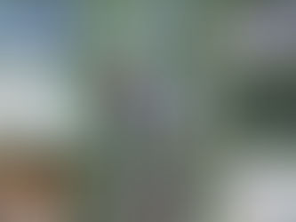 5 Easy Changes for a Greener Home:  Celebrating Earth Day Every Day