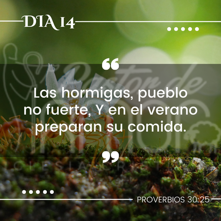 Día 14: El servicio y la diligencia (no perezosos) 