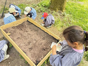 À la découverte des empreintes d’animaux