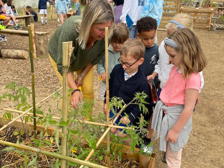 Atelier jardinage au potager de l’école