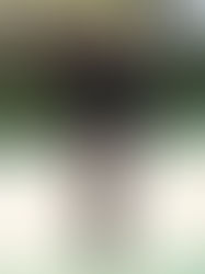 The Best Looks at the Met Gala