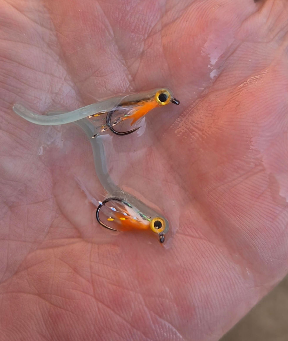 Thumbnail: Squirmy Fry