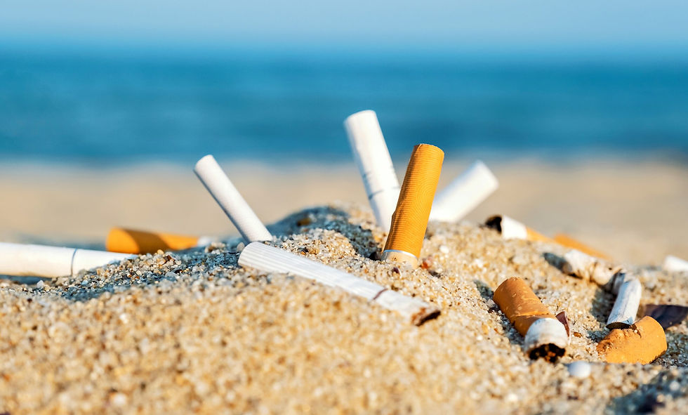 Don't destroy our beaches - don't throw your cigarettes on the ground.