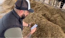 How Tech Is Transforming the World of Dairy Farming