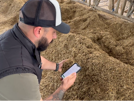 How Tech Is Transforming the World of Dairy Farming