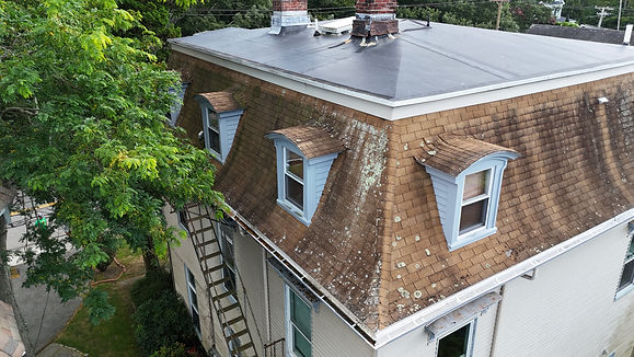 571 spring old (2).JPG