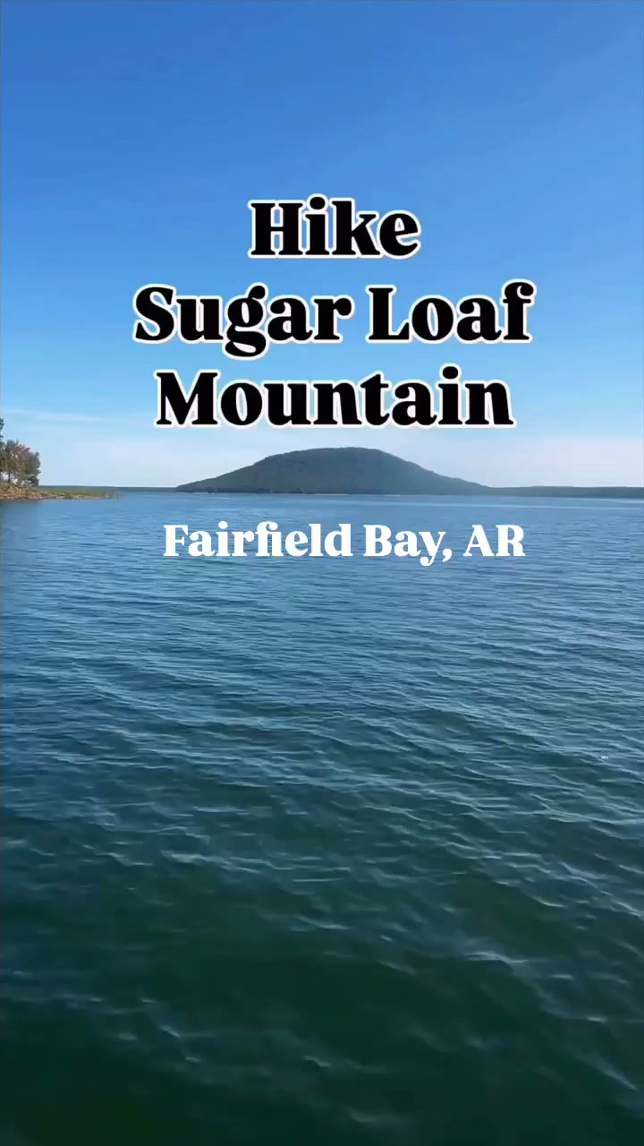Sugarlf Video.mp4