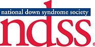 NDSS.jpg
