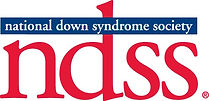 NDSS.jpg