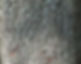 encina_edited.jpg